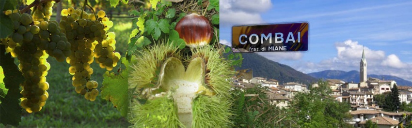 La festa dei marroni a Combai
