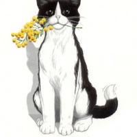 festa-donna-conegliano