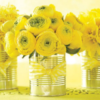 festa-donna-oderzo-conegliano