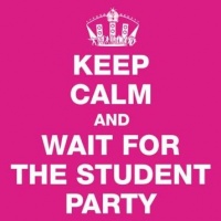 festa-fine-anno-studenti-gallileo-nervesa