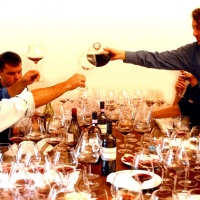 festa-uomini-conegliano