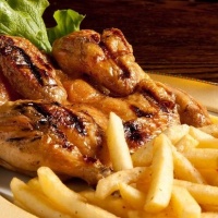 galletto-gallileo-fontanelle