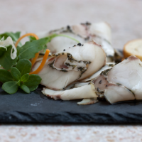 gambrinus-bravo-bio-2013