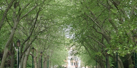 La guardia del corpo fantasma