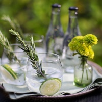 gin-al-municipio-conegliano