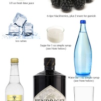 gin-hendrix-conegliano