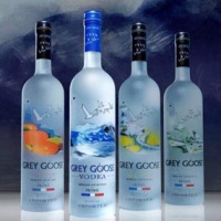 grey-goose-vendita