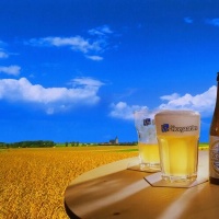 hoegaarden-prevedello