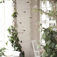 host-restaurant-miglior-ristorante-design