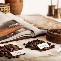 illy-monoarabica-iconegliano-icafe