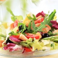 insalatona-conegliano