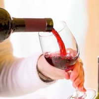 italwines-festival-mogliano-veneto