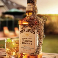 jack-daniels-tennessee-honey-miele