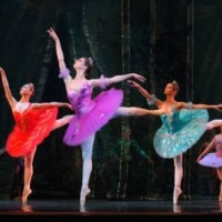 la-bella-addormentata-conegliano