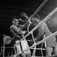 libro-rumble-in-the-jungle