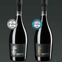 medaglia-argento-iwc-sentio