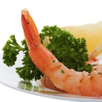 menu-capodanno-conegliano