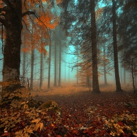 mostra-foto-juna-poloni