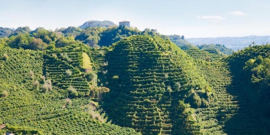 Torna la mostra sui paesaggi del Prosecco a Conegliano