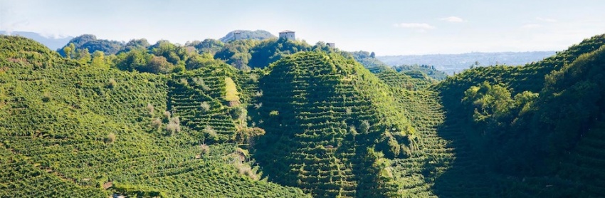 Torna la mostra sui paesaggi del Prosecco a Conegliano