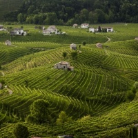 mostra-terre-di-prosecco-conegliano