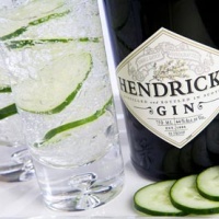 municipio-conegliano-hendricks-gin