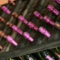 museo-internazionale-vino-bordeaux