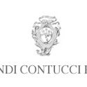 orlandi-contucci-ponno-logo