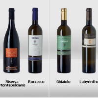 orlandi-contucci-ponno-vini
