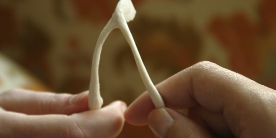 Venerdì 17 tutto da gustare