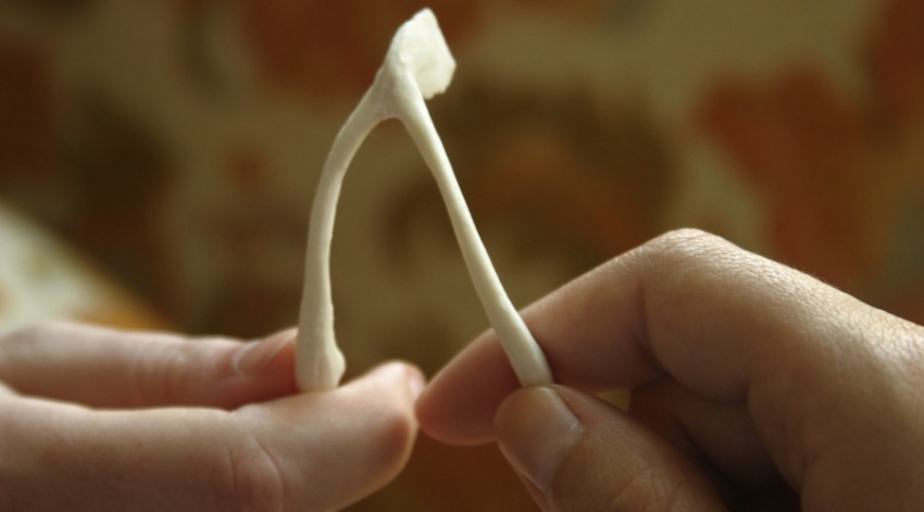 Venerdì 17 tutto da gustare