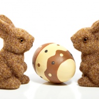 pasqua-conegliano-oderzo