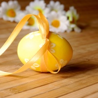 pasquetta-fontanelle-gallileo