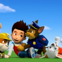 paw-patrol-fontanelle