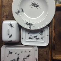 porcellane-shameless-insetti