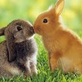 pranzo-di-pasqua-montello