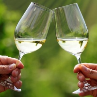 primavera-prosecco-conegliano