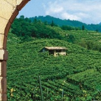 primavera-prosecco-superiore-2014