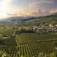 prosecco-bortolomiol-fenekee