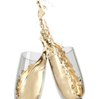 prosecco-docg-conegliano-al-municipio