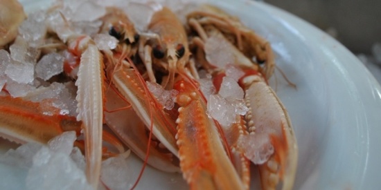 Aperitivo in giardino all’Osteria Spinoff