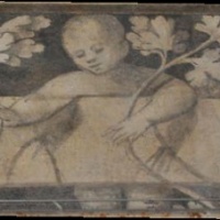 riccardo-perucolo-conegliano