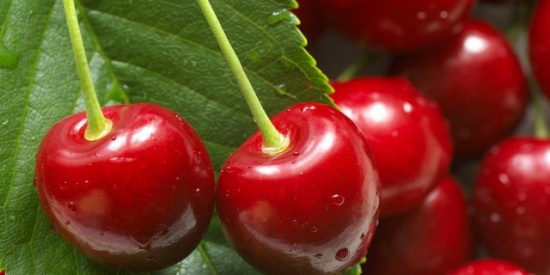 Dolci ciliegie
