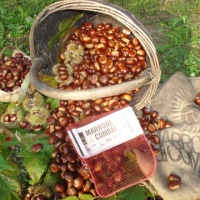 sagra-dei-marroni-combai