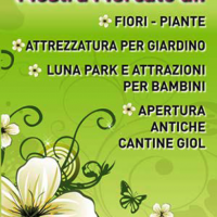 san-polo-di-piave-gemme-aprile