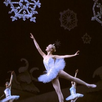 schiaccianoci-conegliano-teatro-accademia