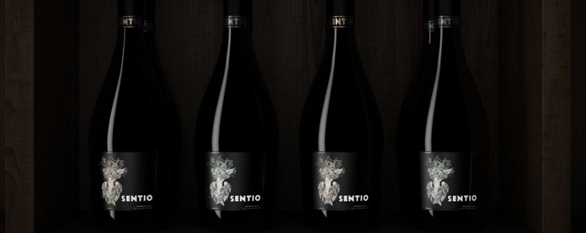 Scopri il prosecco Sentīo