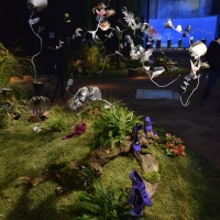 sergio-rossi-scarpe-elena-borghi