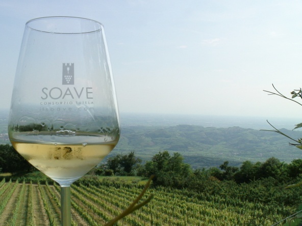 Com’è Soave questo vino