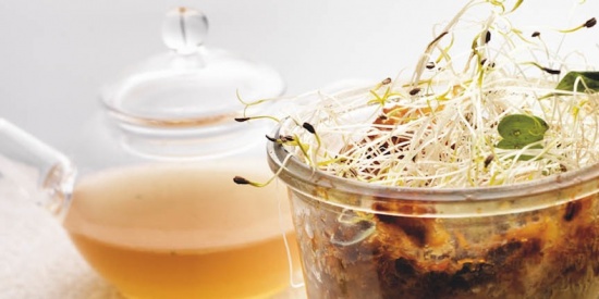 Sopa coada revisited